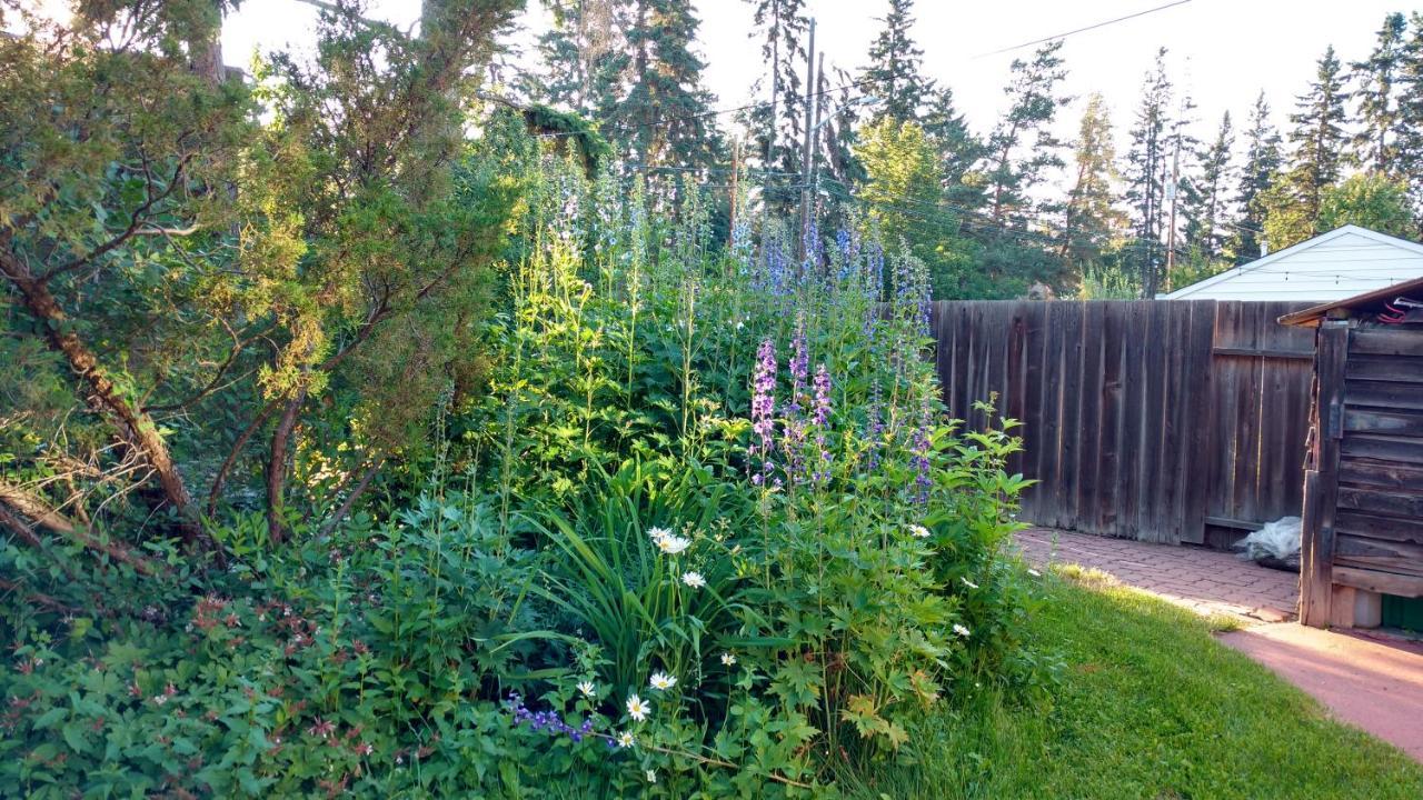 U Of A Homestay, Trails & Whyte Ave Edmonton Exterior foto
